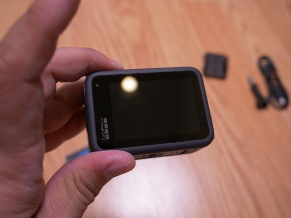 Image #1 from Storm Horopito