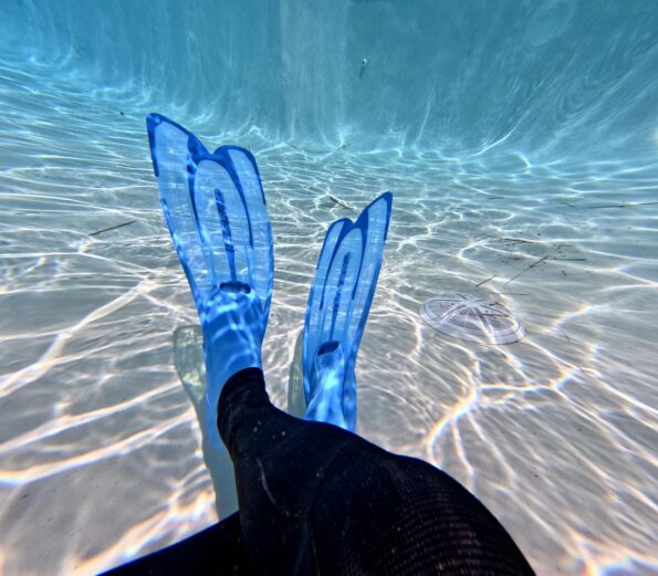 Image #1 from Kowhai Karter