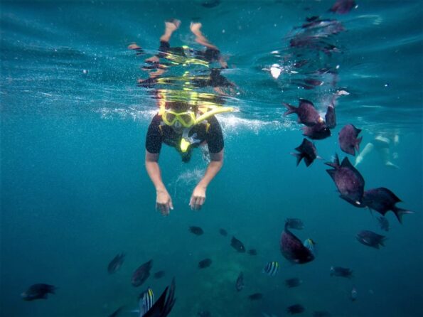 Image #1 from Whetu Silverfern